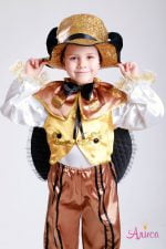 Карнавальный костюм Жука