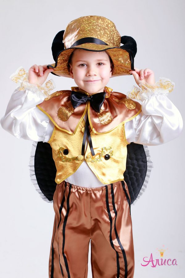 Карнавальный костюм Жука