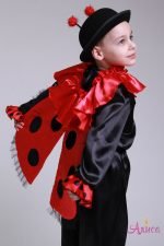 костюм божья коровка для мальчика
