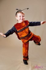 Карнавальный Костюм Жук для мальчика