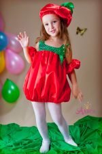 Карнавальный Костюм Помидорка (Вишенка, Калина)