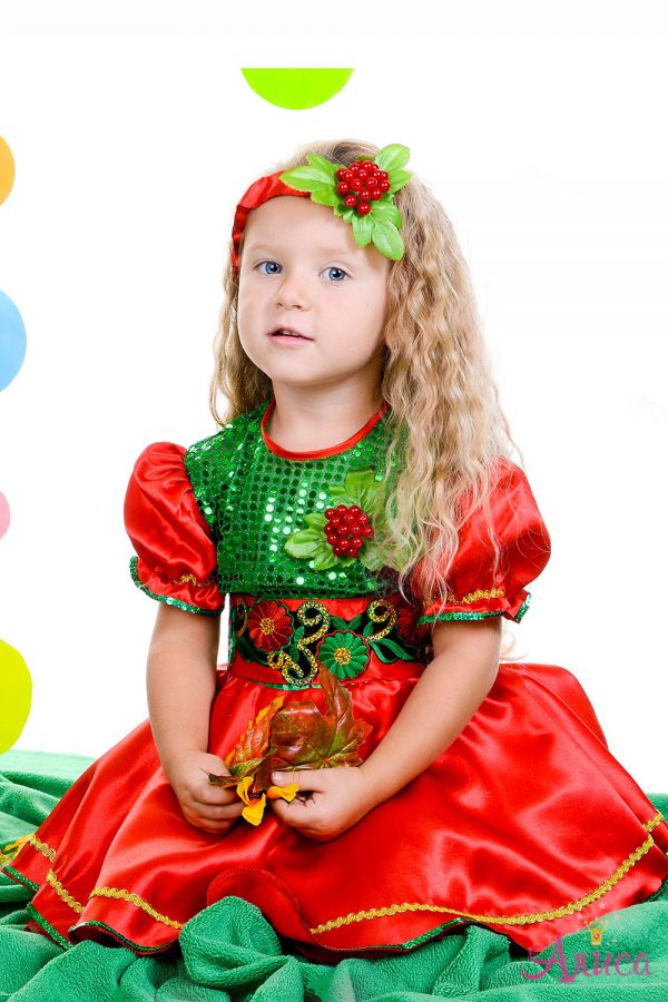 Карнавальный костюм Калина