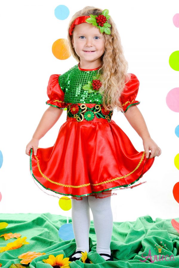 Карнавальный костюм Калина