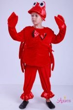 Карнавальный костюм Краба (Рака) для мальчика