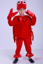 Карнавальный костюм Краба (Рака) для мальчика