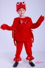 Карнавальный костюм Краба (Рака) для мальчика