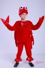 Карнавальный костюм Краба (Рака) для мальчика