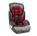 Автокрісло JOY 9-36 кг Grey/Red (47900)