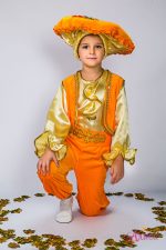 Карнавальный костюм Гриб Лисичка для мальчика