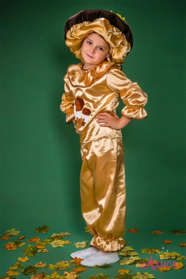 гриб боровик