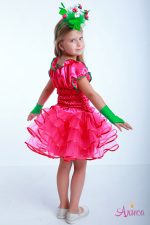 Карнавальный костюм Малина для девочки