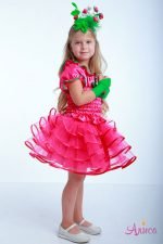 Карнавальный костюм Малина для девочки