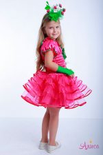 Карнавальный костюм Малина для девочки