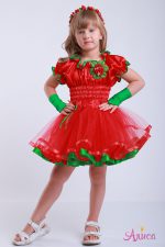 Костюм Калина для девочки
