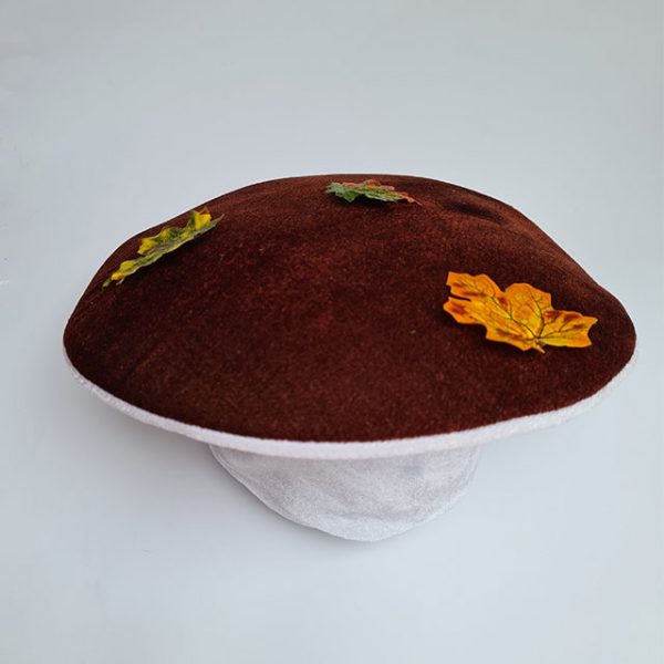 Шляпа грибочка